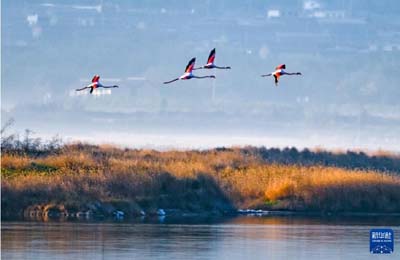  初冬時(shí)節(jié)，神州大地開(kāi)啟“美顏”模式  